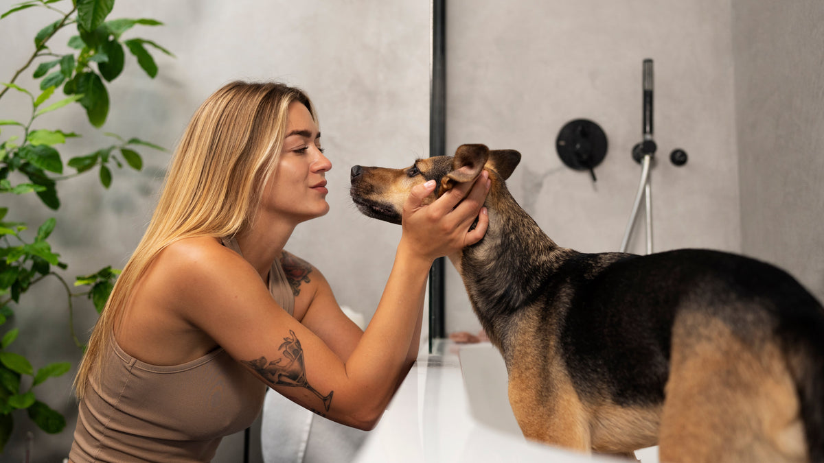 Pet Grooming